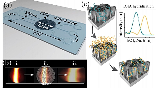 Schematic illustration of lab-on-a-chip device