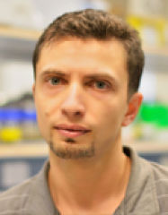 Maksym Krepker