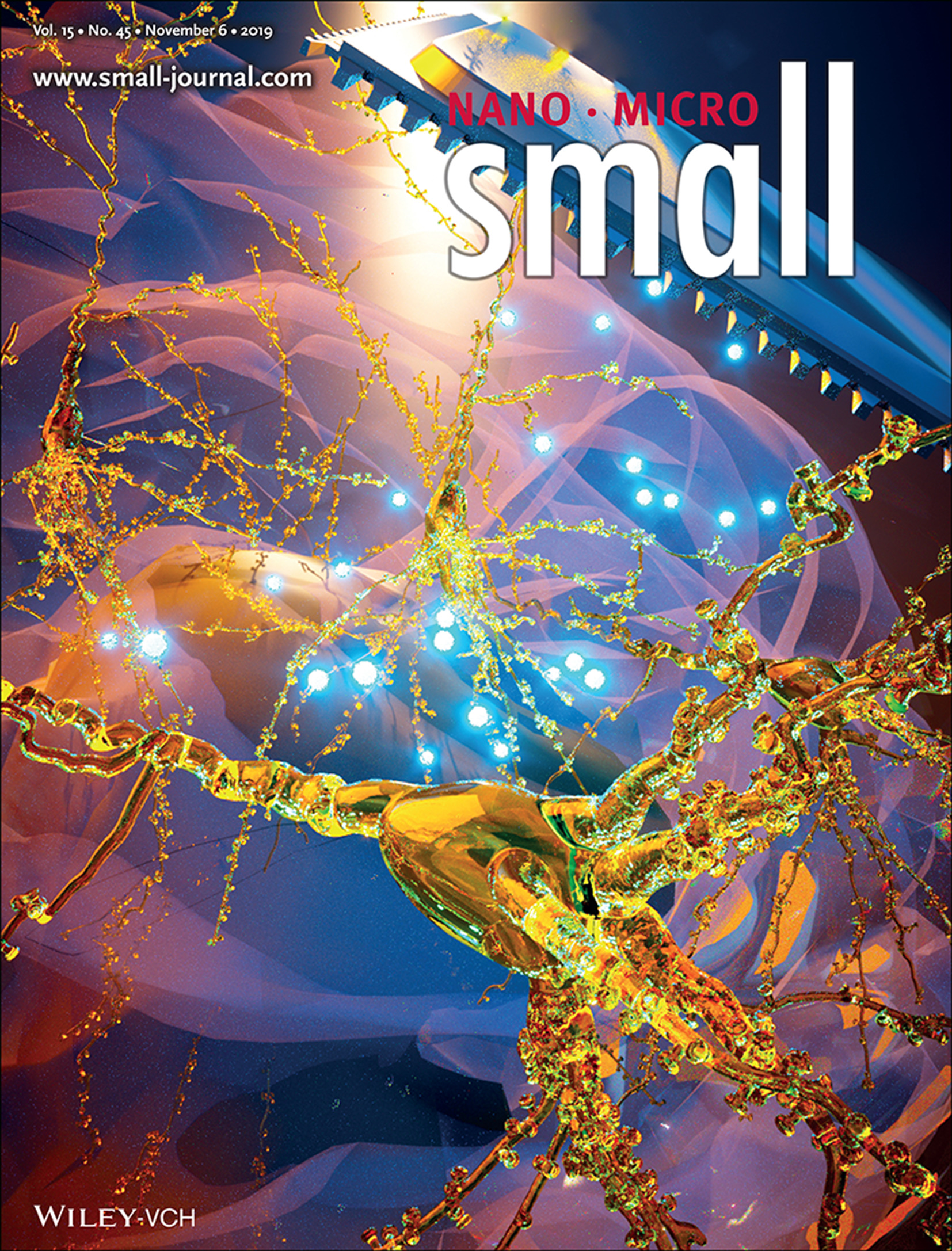 Cover Small 452019